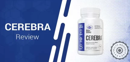 Cerebra Review