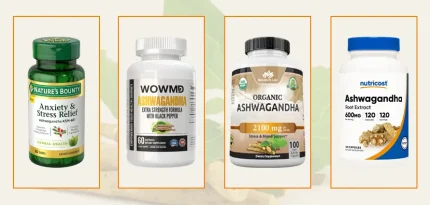 Best Ashwagandha Supplements