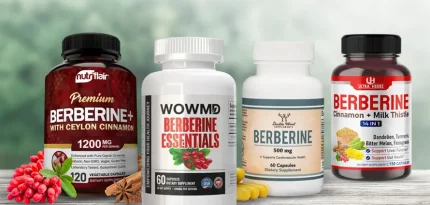 Best Berberine Supplements