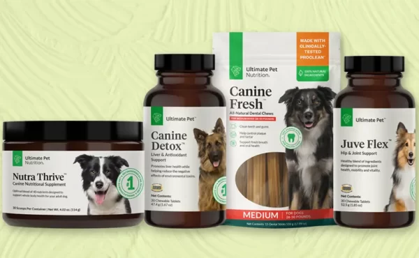 Best Dog Vitamins And Supplements In 2025, According To Vets