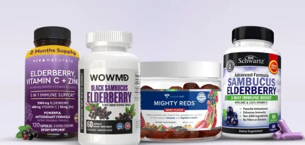 Best Elderberry Supplements