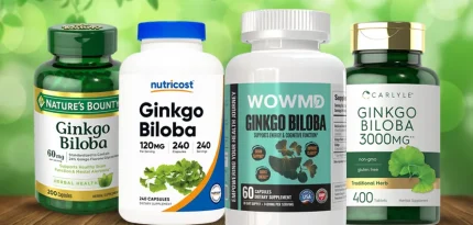 Best Ginkgo Biloba Supplements