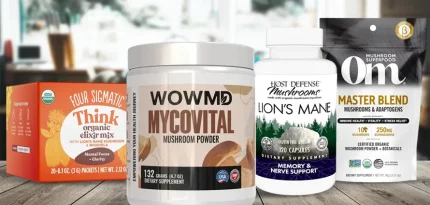 Best Mushroom Powders