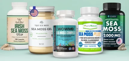 Best Sea Moss Supplements