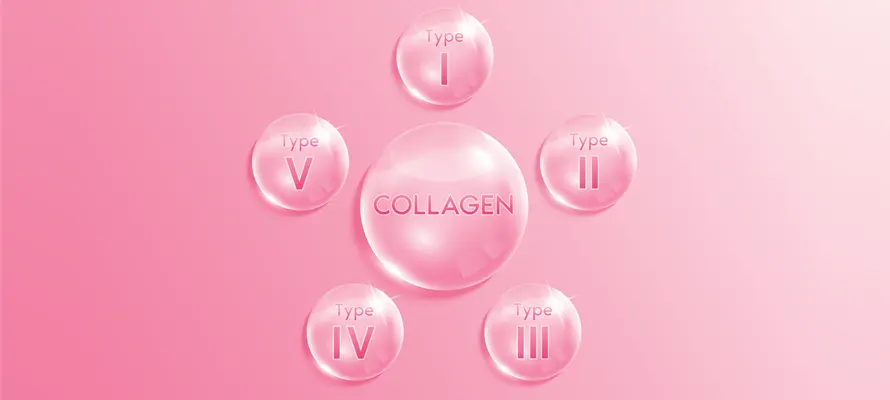 Collagen