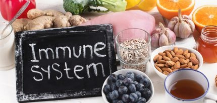 The Best Foods to Boost Our Immune System