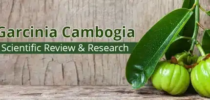 Garcinia Cambogia