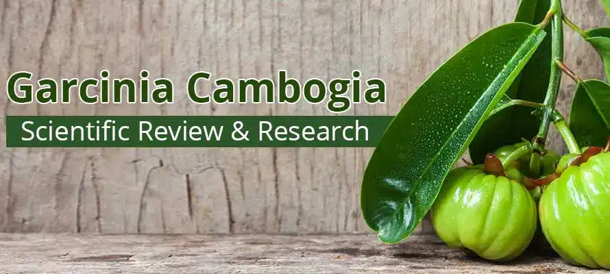 Garcinia Cambogia