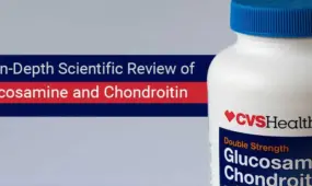 Glucosamine and Chondroitin