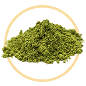 Green Tea Extract