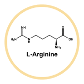 L-Arginine