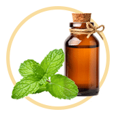 Peppermint oil 