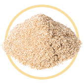 Psyllium