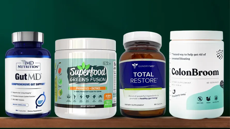 Best Gut Health Supplements